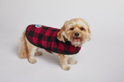 Port Authority® Pet Fleece Jacket (MARSHMALLOW/ GREY BUFFALO CHECK)